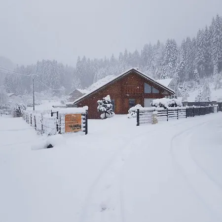 Chalet Tout Confort 'Le Grand Pre', Dog Friendly, Terrain Cloture, Garage Gérardmer