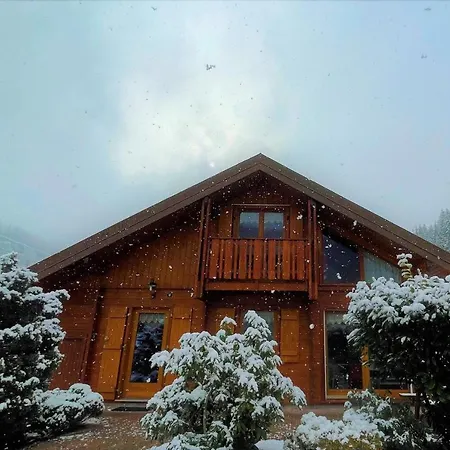 Chalet Tout Confort 'Le Grand Pre', Dog Friendly, Terrain Cloture, Garage * Gérardmer