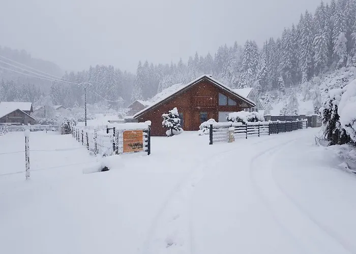 Confort 'le Grand Pre', Terrain Cloture, Garage ג'רארדמר